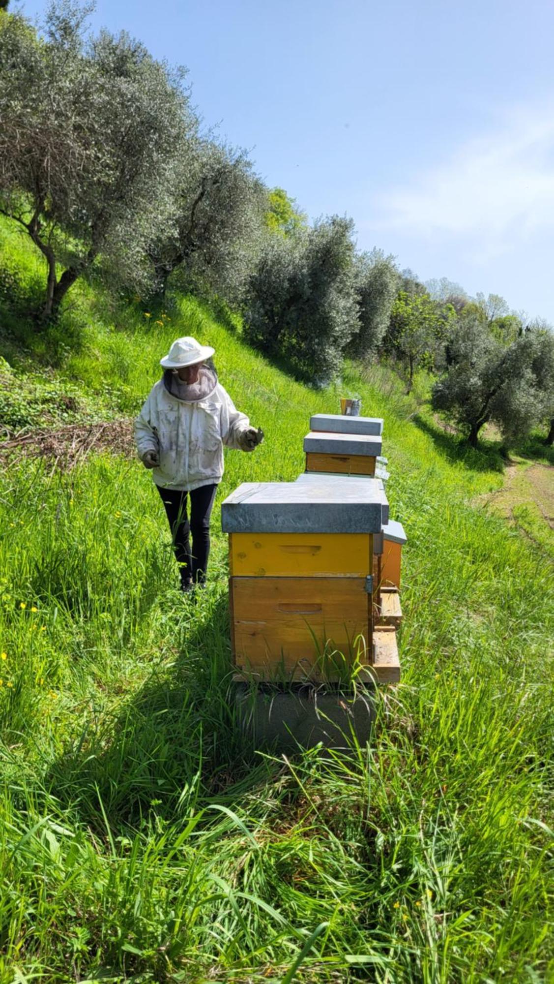 Agriturismo Podere Nigriano سالو المظهر الخارجي الصورة