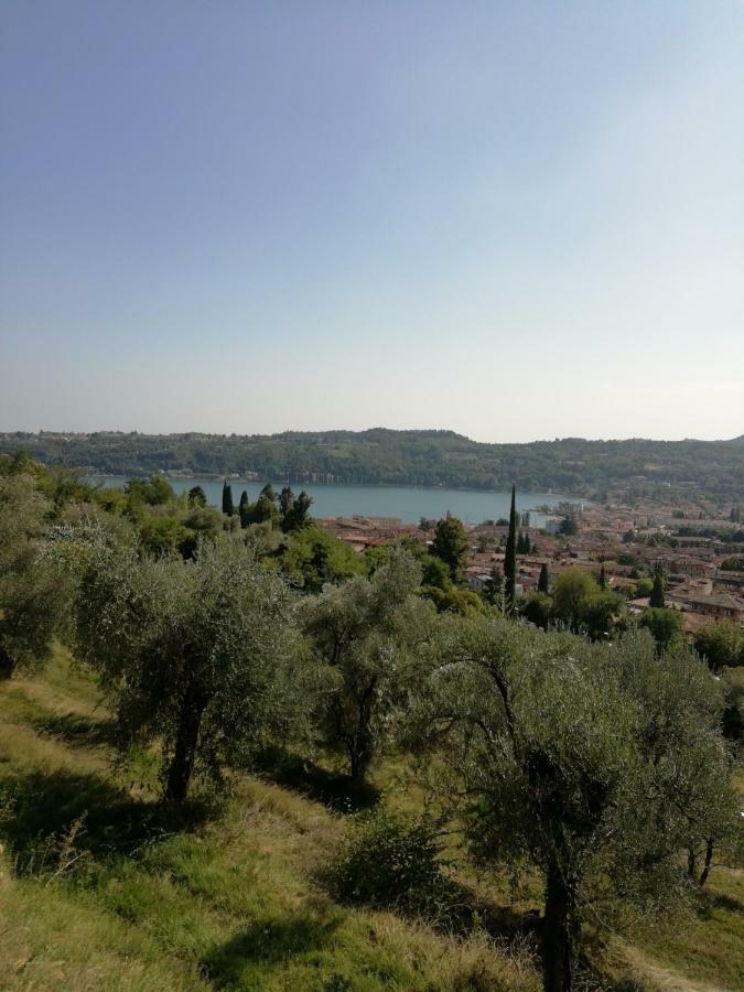 Agriturismo Podere Nigriano سالو المظهر الخارجي الصورة