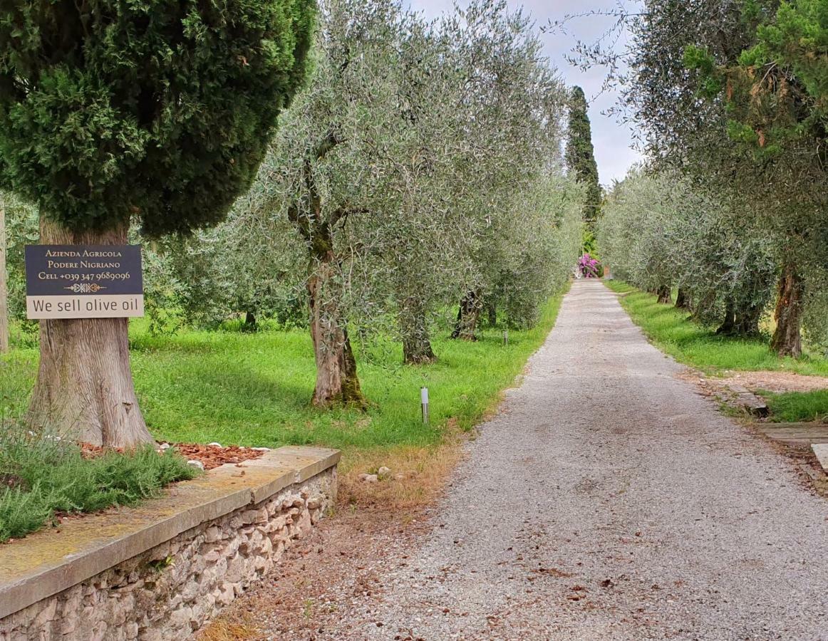 Agriturismo Podere Nigriano سالو المظهر الخارجي الصورة